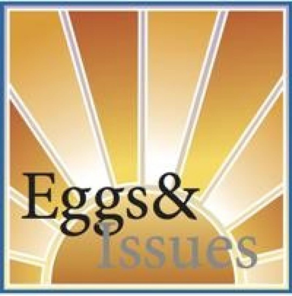 Eggs & Issues text over sun beam illustration